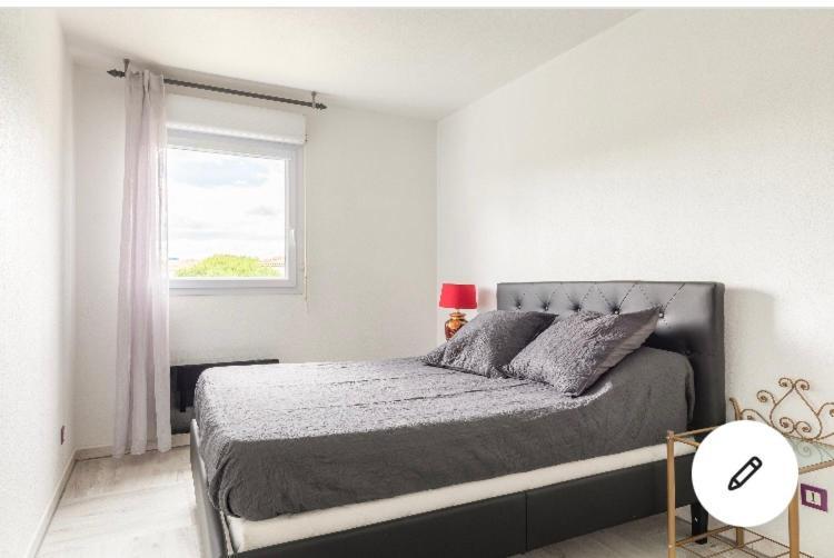 Superbe Appartement T3 Avec Piscine 蒙彼利埃 外观 照片
